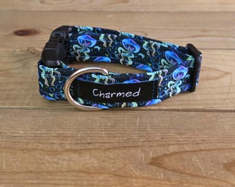 PETITE 9"-16" Dog Collar 1" Width, Pet Collar, Small, Fun Dog Collar, Jellyfish Dog Collar, Gone Fishing, Buckle Dog Collar, Neon Collar