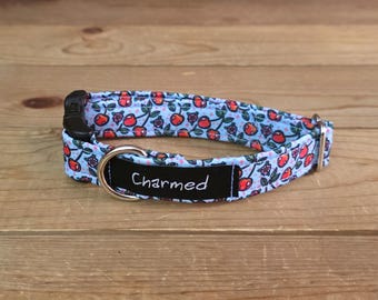 9"-18" Dog Collar 3/4" Width, Pet Collar, Medium, Small, Little Dog Collar, Cherries, Summer Snack, Cherry Dog Collar, Buckle Collar