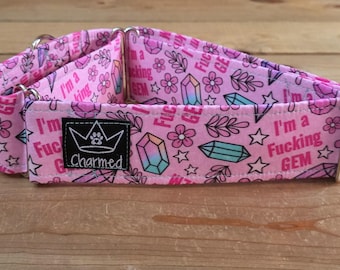 15"-28" Swear Martingale Collar 2" Width, Medium, Large, XL, Explicit, Naughty Collar, Funny, Explicit, I'm A Fucking Gem