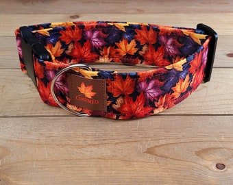14"-28" Fall Dog Collar 2" Width, Pet Collar, Large, Medium, XL, Autumn Dog Collar, Leaves, Fall, Season Dog Collar, Seasonal Collar