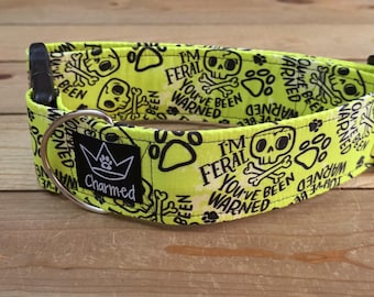 14"-28" Swear Dog Collar 2" Width, Medium, Large, XL, Swear Dog Collar, Naughty Collar, Funny, Explicit, I'm Feral You've Been Warned