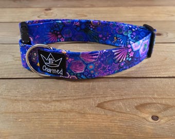 1.5" Width Buckle Collar