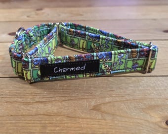 12"-22" Sidekicks Martingale Collar 1" Width, Pet Collar, Medium, Large, Cartoon Martingale, Cartoon Sidekicks, Green Collar