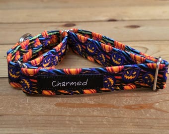 11"-21" Halloween Martingale Collar 1" Width, Pet Collar, Small, Medium, Large, Halloween, Holiday Martingale, Tricky or Treat, Spooky Dog