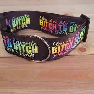 2&quot; Width Favorite Bitch Dog Collar or Martingale, Girl Collar, Explicit, Adult, Dog Humor, Just For Laughs, Bitches