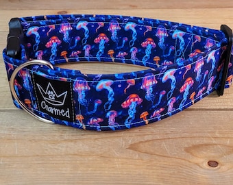 14"-28" Dog Collar 2" Width, Pet Collar, Medium, Large, XL, Fun Dog Collar, Sandy Snoots, Jellyfish Dogs, Buckle Dog Collar, Ocean Dog