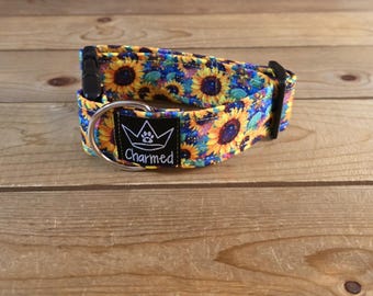 PETITE 11"-18" Dog Collar 1.5" Width, Pet Collar, Small, Floral Dog Collar, Flower Collar, Buckle Dog Collar, Summer Collar, Sunflower