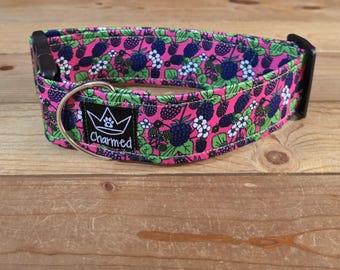 14"-28" Dog Collar 2" Width, Pet Collar, Medium, Small, Large, Big Dog Collar, Summer Snacks, Blackberries, Fruit Snacks