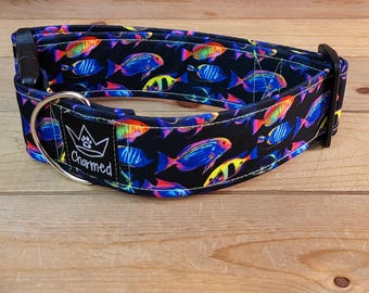 14"-28" Dog Collar 2" Width, Pet Collar, Medium, Large, XL, Fun Dog Collar, Sandy Snouts, Neon Fish Dogs, Buckle Dog Collar, Ocean Dog