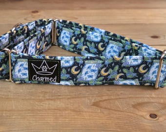 14"-27" Martingale Collar 1.5" Width, Pet Collar, Medium, Large, XL, Lightening Bug Dog Collar, Martingale Dog Collar, Cottagecore