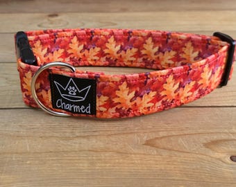 13"-26" Fall Dog Collar 1.5" Width, Pet Collar, Medium, Large, XL Dog Collar, Autumn Collar, Leaves, Seasonal Collar, Buckle Collar