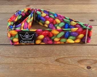 14"-27" Easter Martingale Collar 1.5" Width, Pet Collar, Medium, Large Dog Collar, XL, Holiday Collar, Easter, Bunny, Jelly Beans