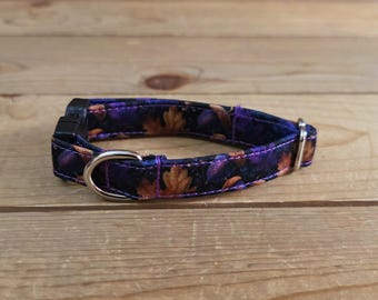 6"-12" Fall Dog Collar 1/2" Width, Pet Collar, XS, Small, Cat, Dog Collar, Autumn Collar, Leaves, Seasonal, Buckle Collar