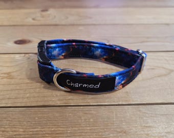 3/4" Width Buckle Collar