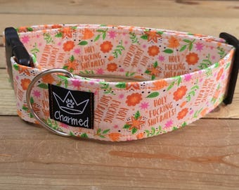 14"-28" Swear Dog Collar 2" Width, Medium, Large, XL, Swear Dog Collar, Naughty Collar, Funny, Explicit, Holy Fucking Shitballs