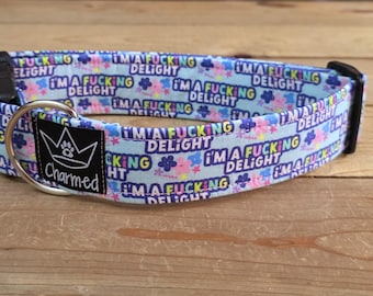 13"-26" Swear Dog Collar 1.5" Width, Medium, Large, XL, Swear Dog Collar, Naughty Collar, Funny, Explicit, I'm A Fucking Delight