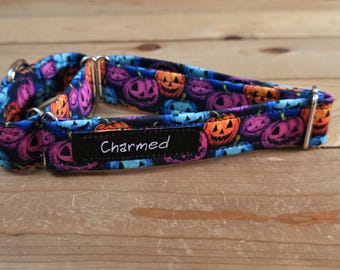 11"-21" Halloween Martingale Collar 1" Width, Pet Collar, Small, Medium, Large, Halloween, Holiday Martingale, Tricky or Treat, Spooky Dog