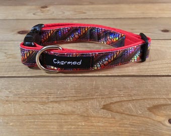 11"-22" Holographic Dog Collar 1" Width, Medium, Large, XL, Colorful, Waterproof Ottertex Lined