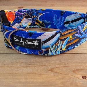 14"-27" Sandy Snouts Dog Collar 2" Width, Pet Collar, Medium, Large, XL, Big Dog Collar, Beach, Ocean, Sandy Snouts, Fish Collar