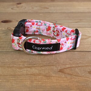 PETITE 9"-16" Dog Collar 1" Width, Pet Collar, Small, Fun Dog Collar, Strawberry Shortcake Dog Collar, Cartoon, Throwback, Buckle Dog Collar
