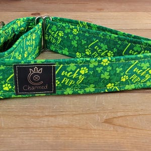 14"-27" St. Patrick's Day Martingale Collar 1.5" Width, Pet Collar, Small, Medium, Large Collar, XL, Lucky Dog, Holiday Collar, Kiss Me