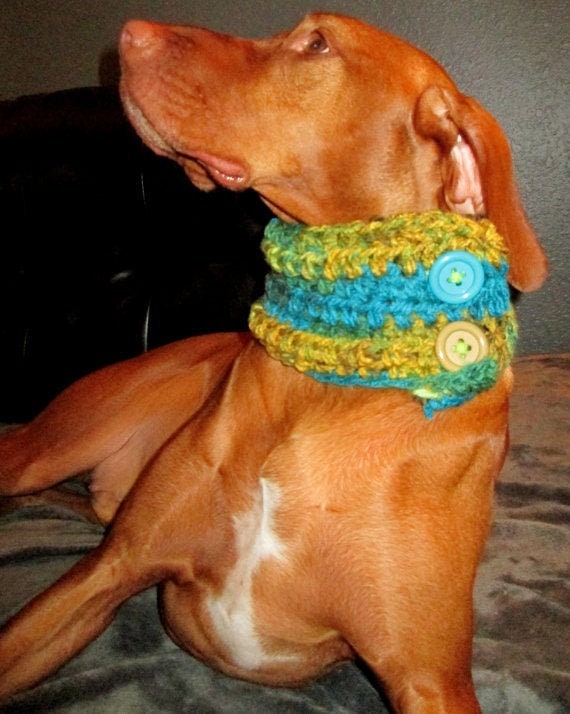 20 Dog Button Neckwarmer, Dog Scarf, Neck Warmers, Knit Scarf, Dog Neck