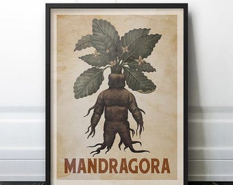 Mandragora (Mandrake) Vintage Poster - Retro Kitchen Witchy Wizard Art