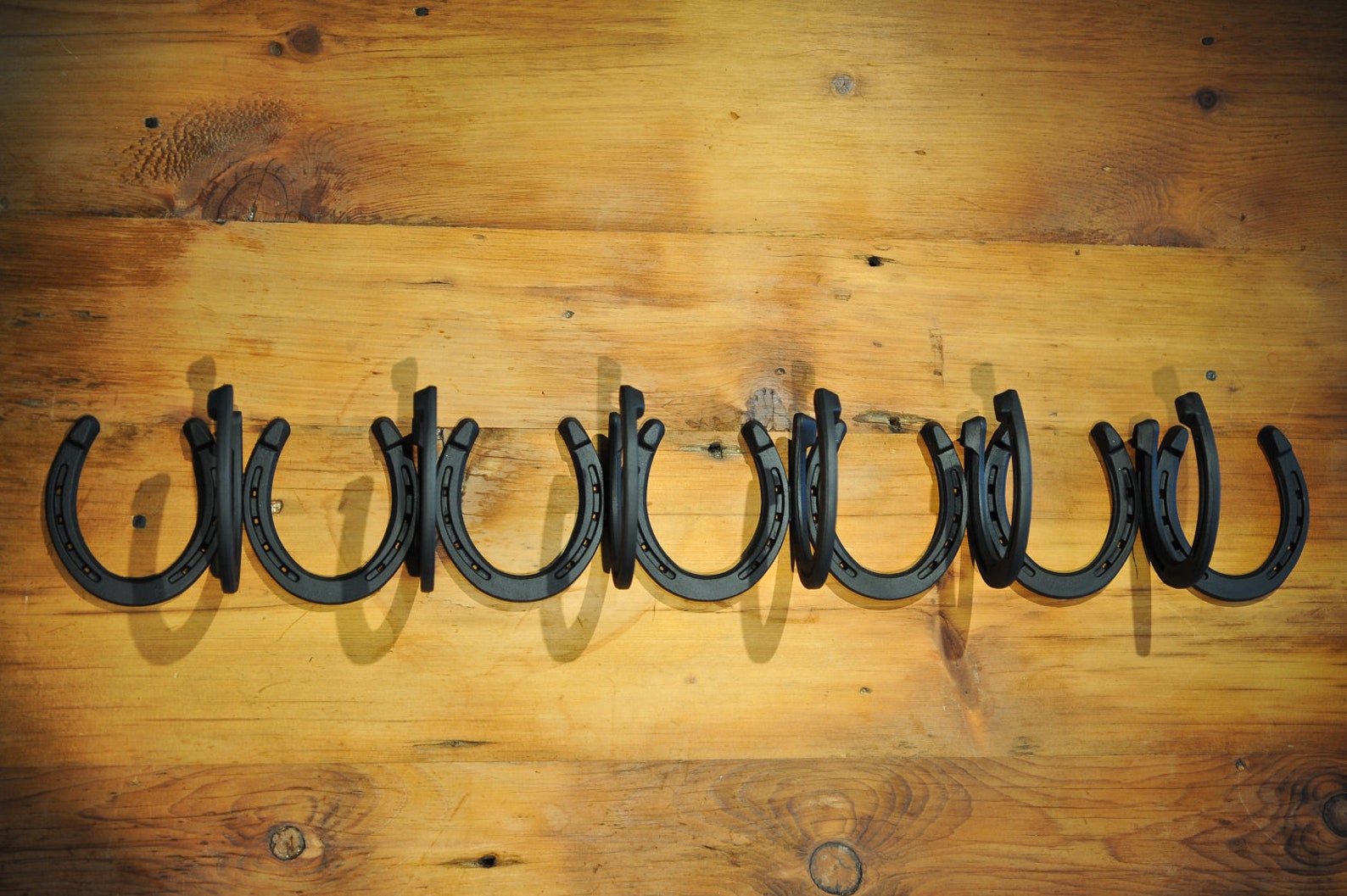 6 Coat Wall Mounted Authentic Horseshoe Coat Racks. 32 5/8L X Etsy