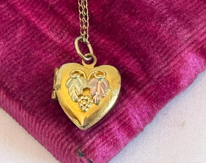 Vintage Small 14K Gold Filled Two Tone Heart Locket Necklace w/ Applied Grapes & Leaves - 2 Photo Wells - Petite Little “Timeworn Treasure”