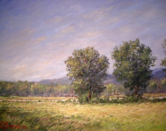 Original oil painting, oil on canvas, impressionist, Italy, Tuscany, field, trees, hills, blue, sky, green, yellow, Sessa