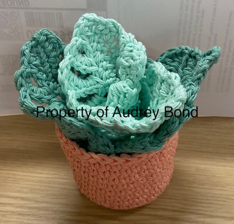 Monstera Leaf Coaster Set CROCHET PATTERN Etsy