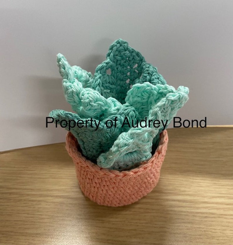 Monstera Leaf Coaster Set CROCHET PATTERN Etsy