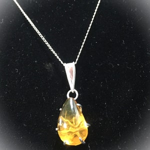 Amber and Sterling Silver Pendant image 4