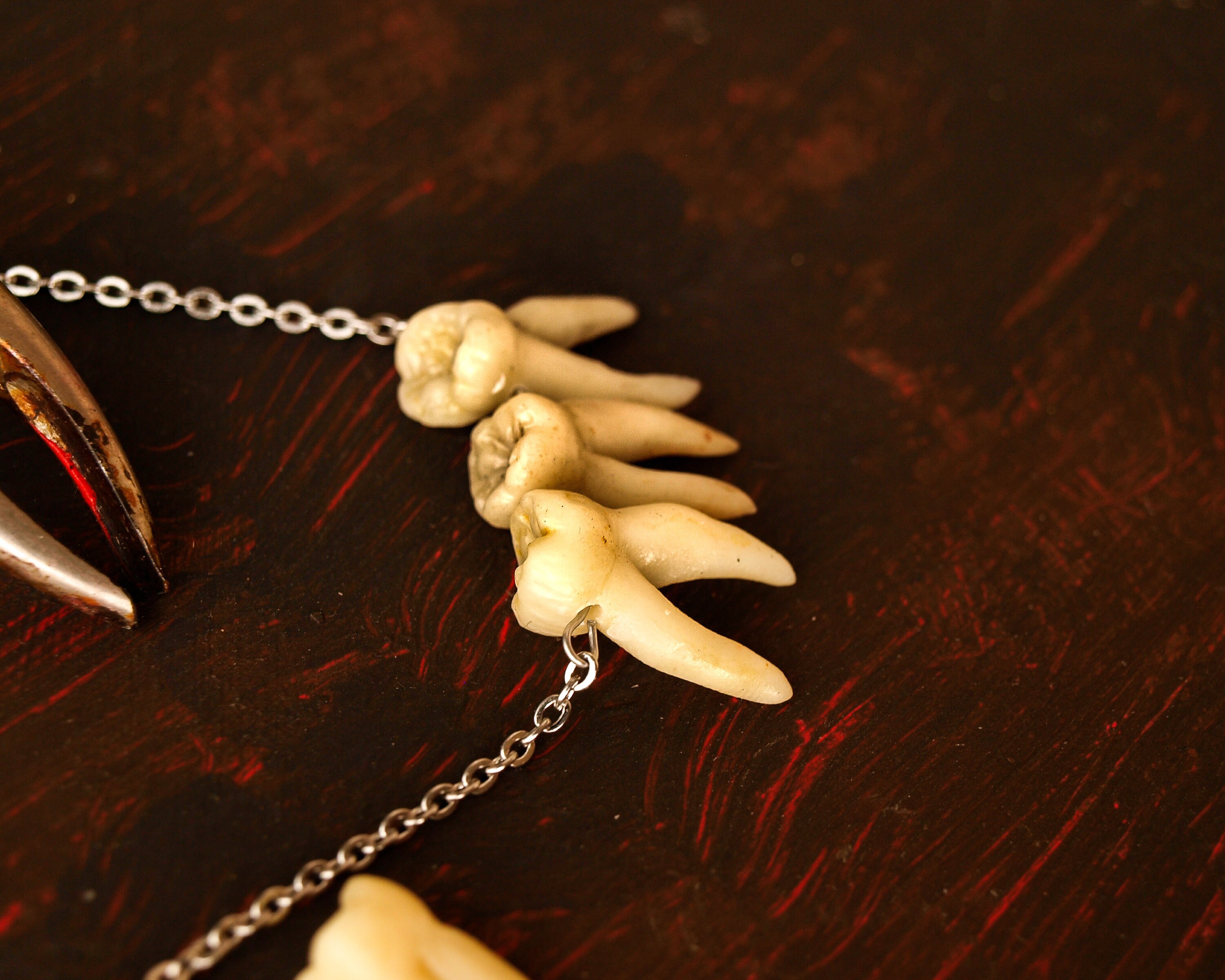 Human teeth necklace Goth jewelry Taxidermy art Tooth Etsy