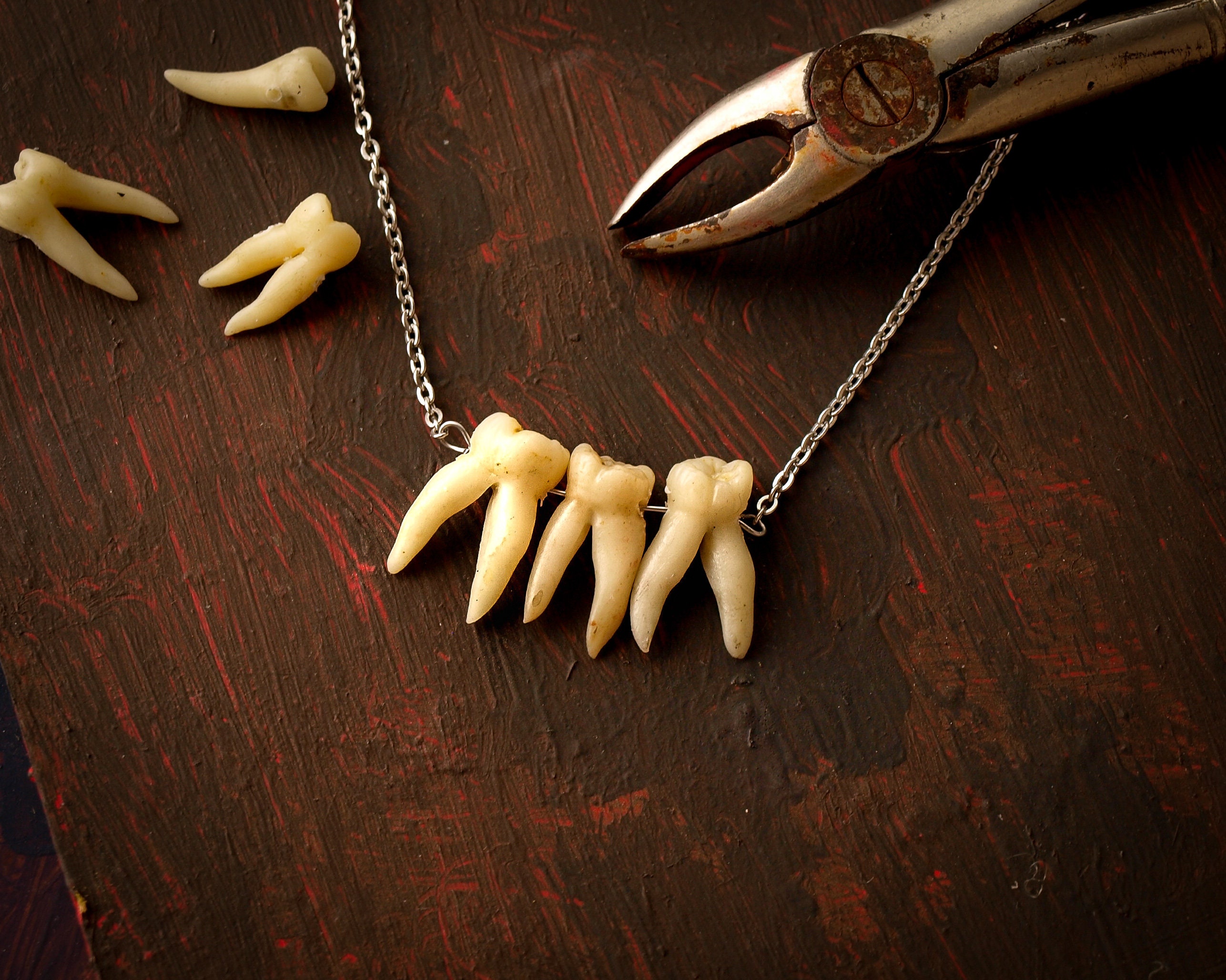 Human teeth necklace Goth jewelry Taxidermy art Tooth Etsy