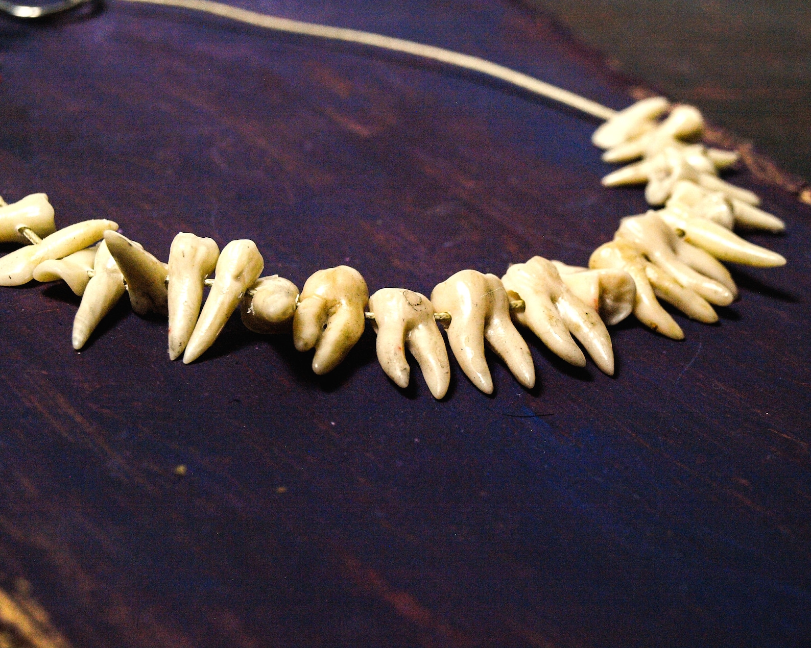 Teeth necklace human tooth jewelry Weird taxidermy Macabre Etsy
