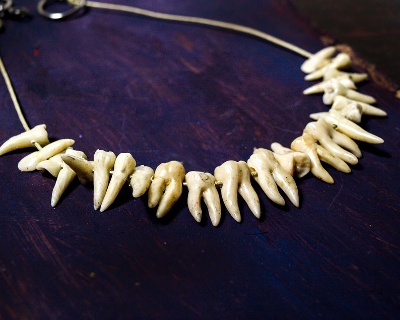 Teeth necklace human tooth jewelry Weird taxidermy Macabre Etsy