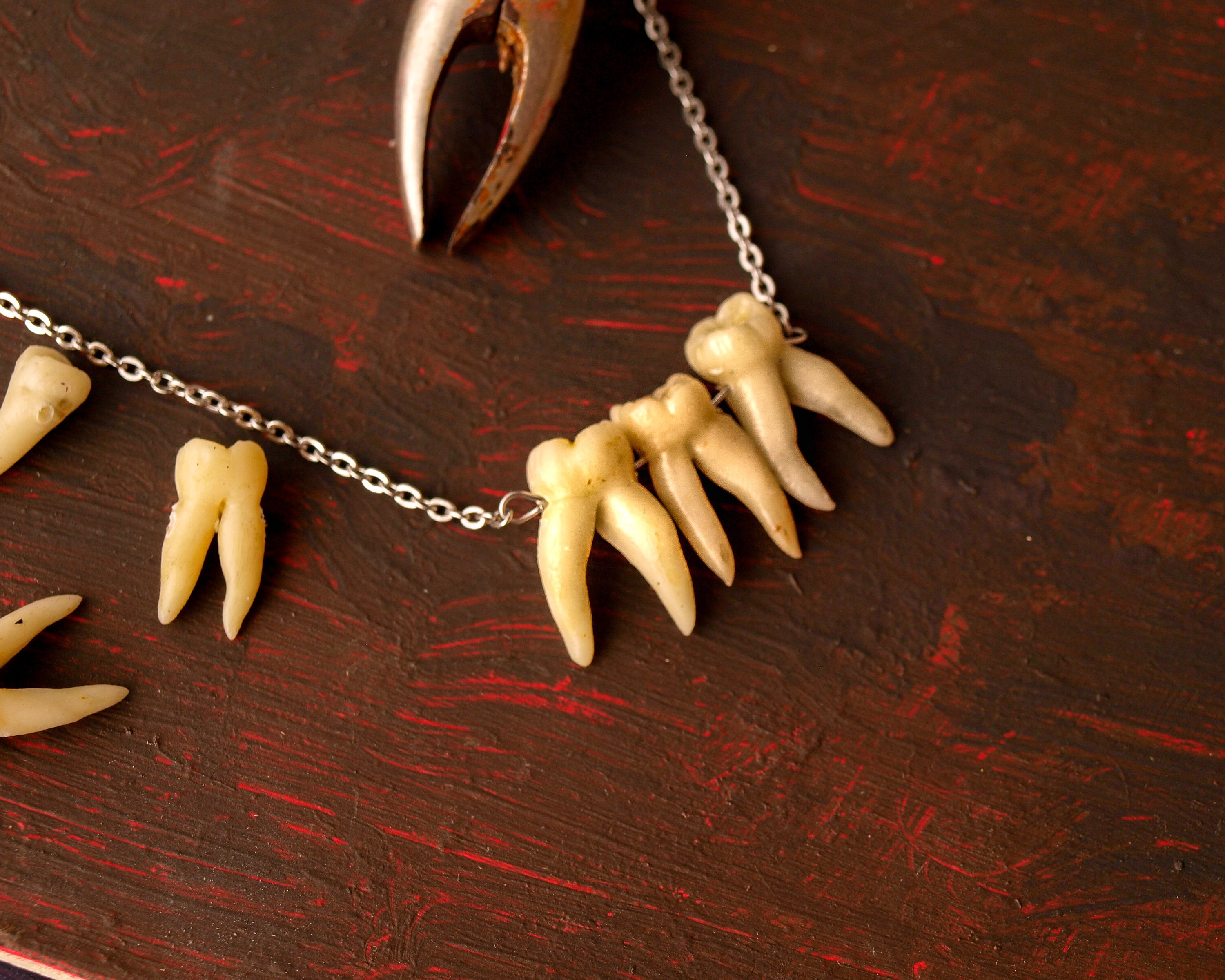Human teeth necklace Goth jewelry Taxidermy art Tooth Etsy