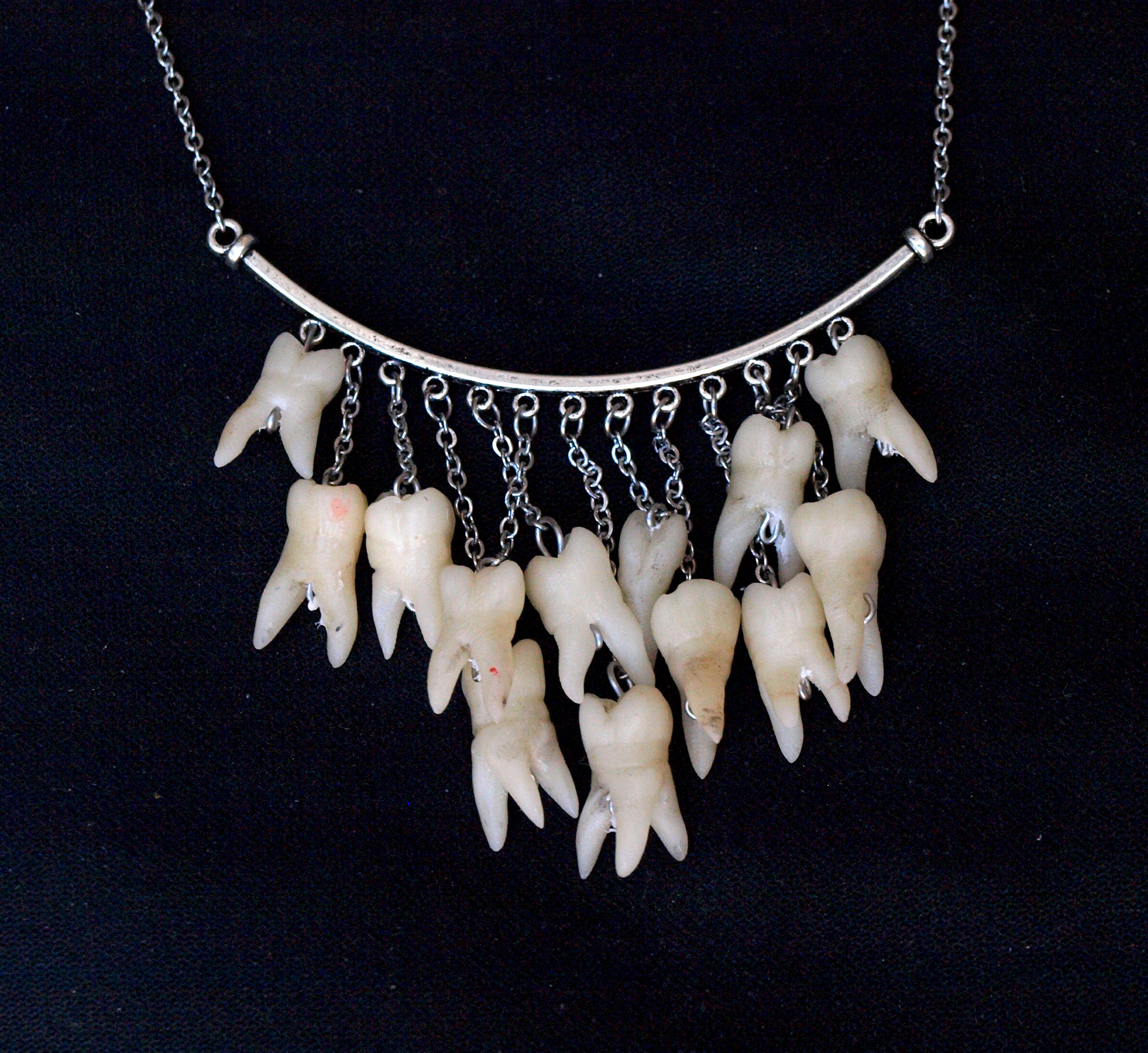 Human tooth necklace teeth jewelry macabre art dental bib Etsy