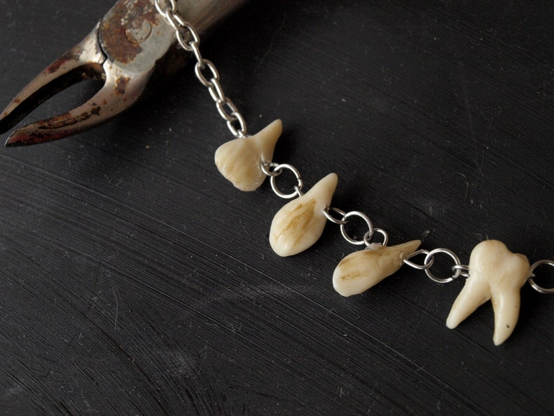 Human teeth necklace Goth jewelry Taxidermy art Tooth Etsy