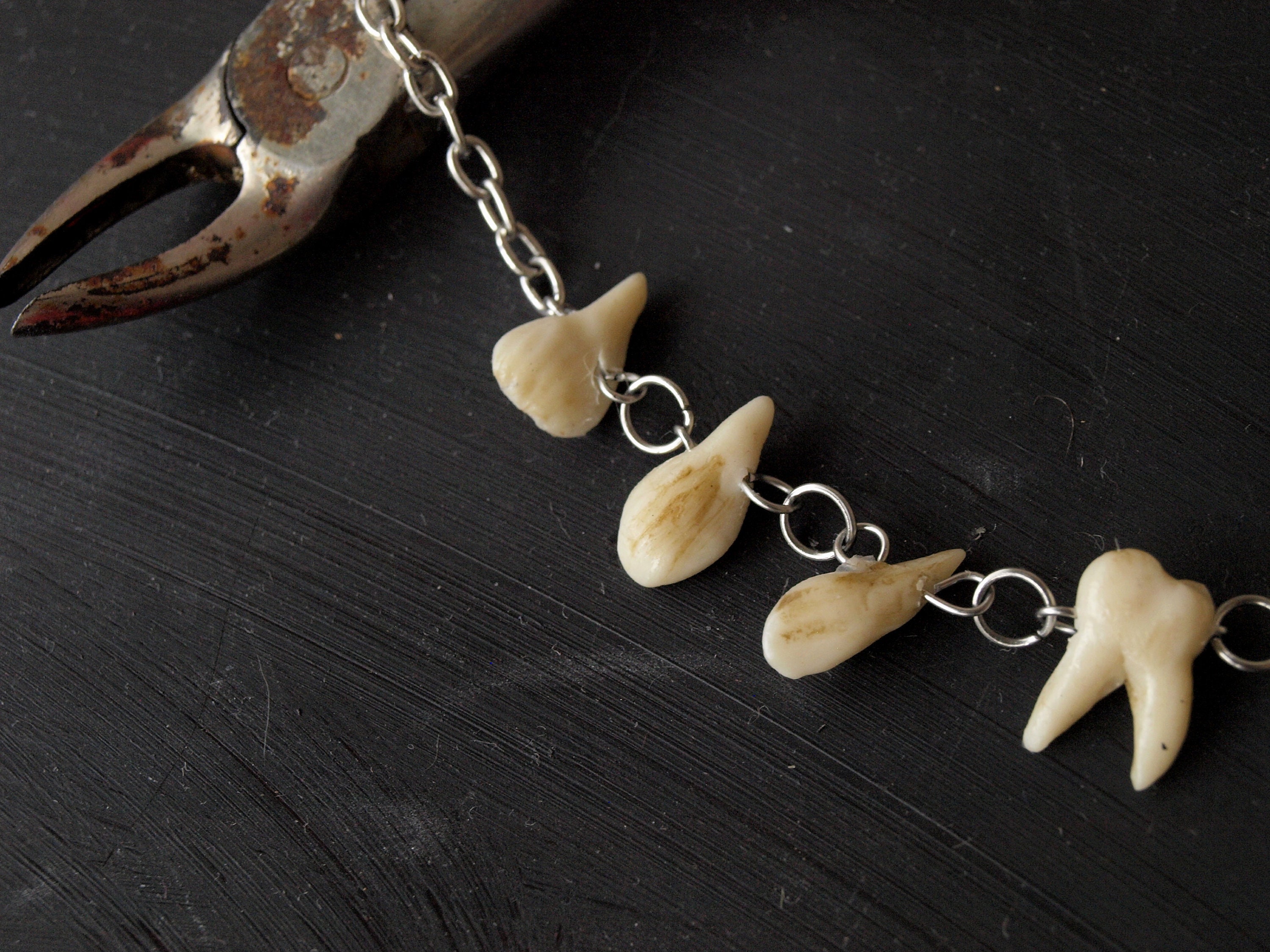 Human teeth necklace Goth halloween Taxidermy art Tooth Etsy