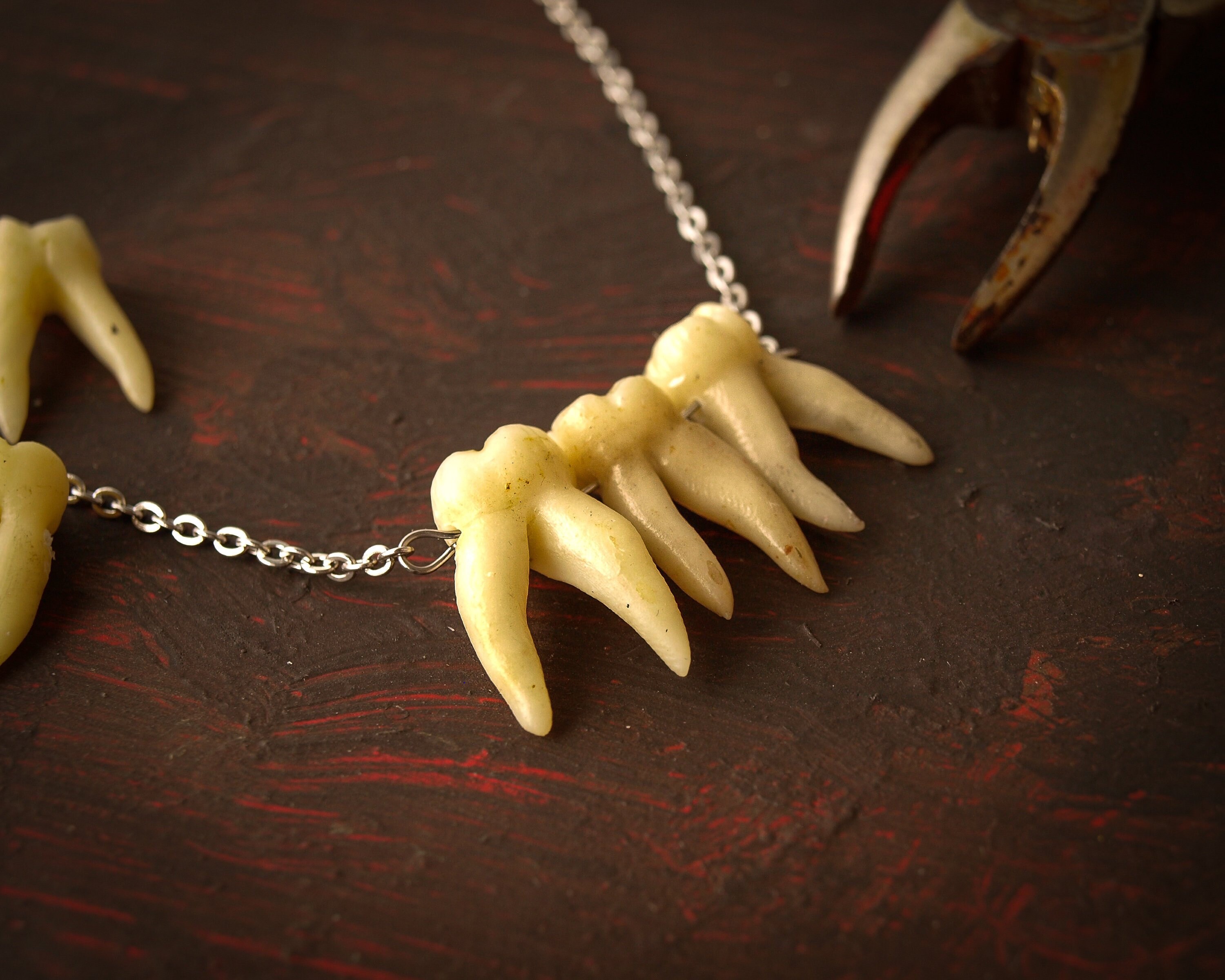 Human teeth necklace Goth jewelry Taxidermy art Tooth Etsy