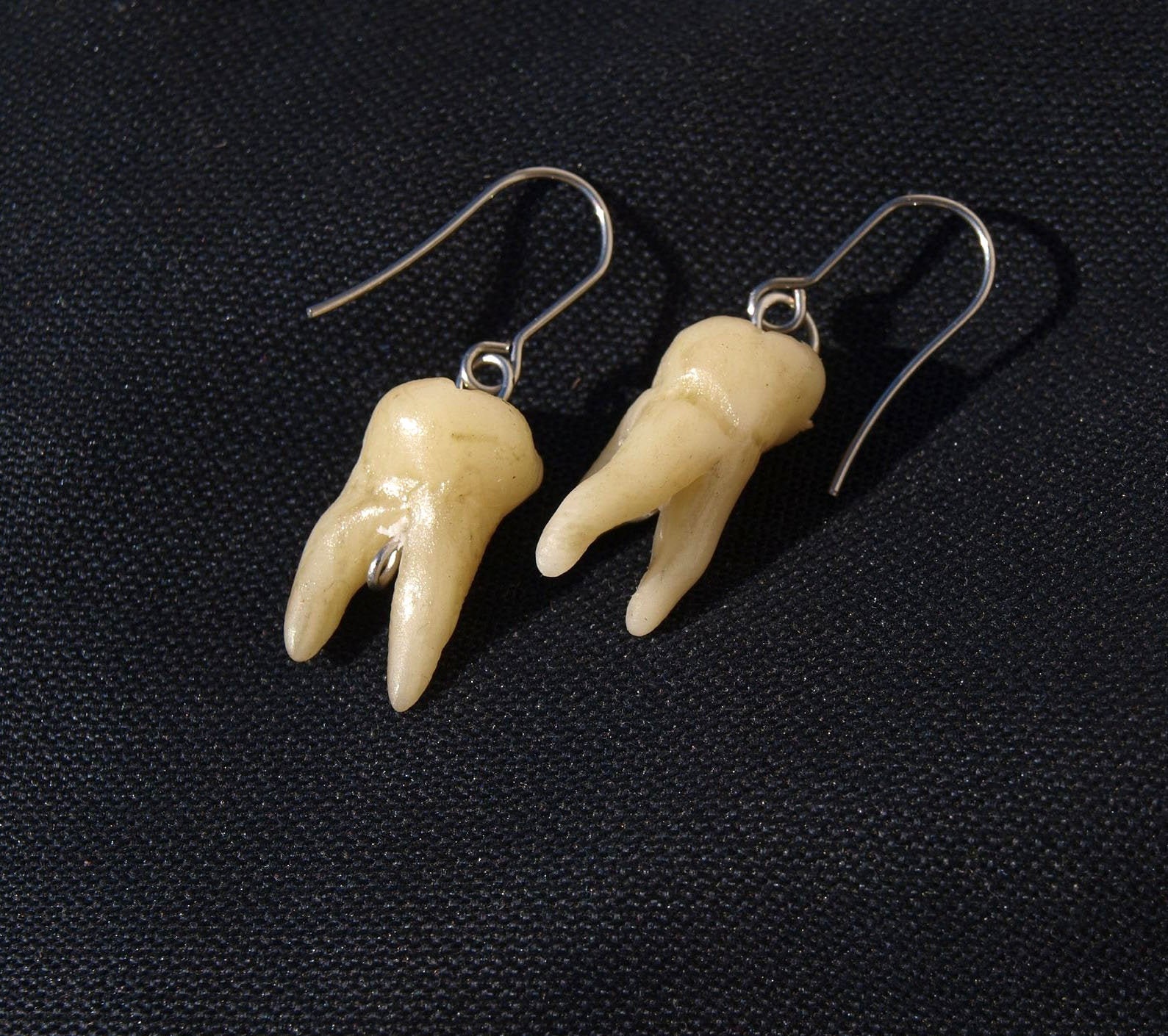 Gothic earrings with teeth, Human tooth, Taxidermy art, Oddity, Morbi…