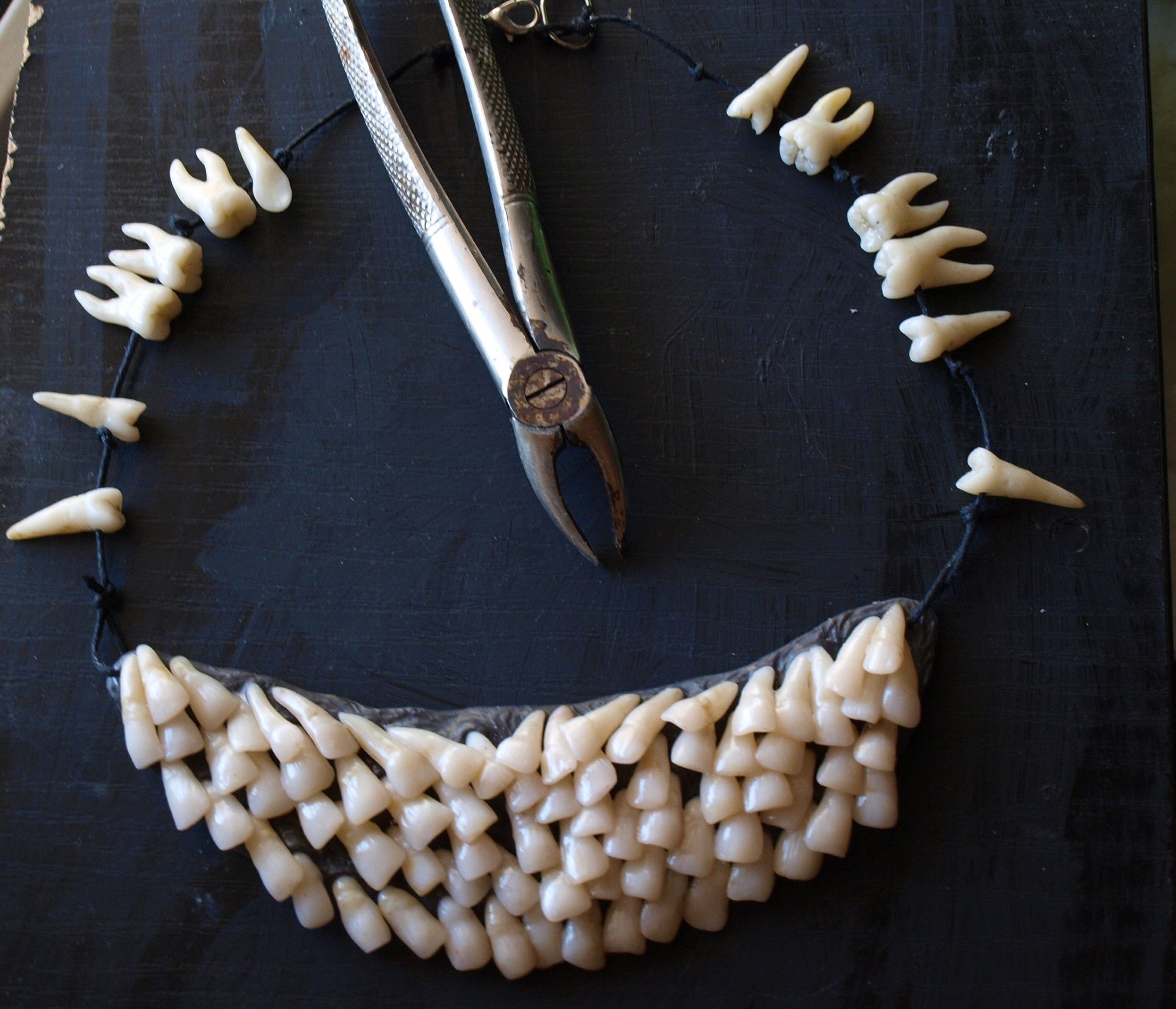 Human Teeth Necklace Goth Choker Curiosities Tooth Etsy