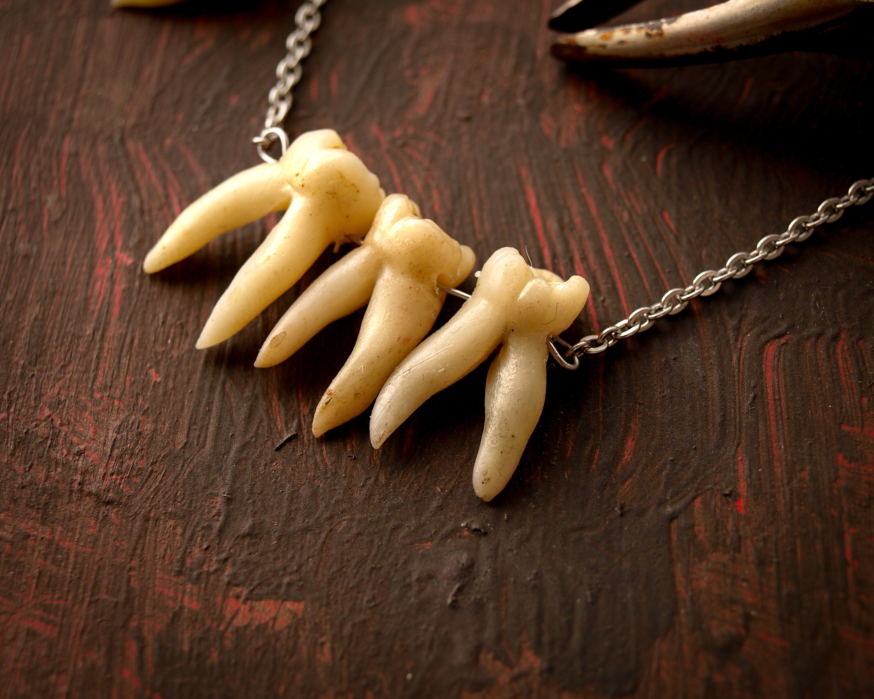Human teeth necklace Goth jewelry Taxidermy art Tooth Etsy