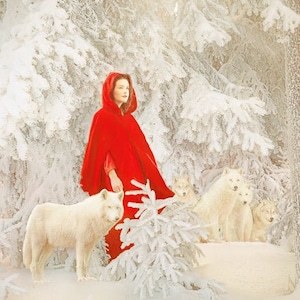 Carte postale photographie d'art "Petit chaperon rouge" Olga Valeska - Christmas Noël winter wonderland fairy tale magic faerie snow hiver