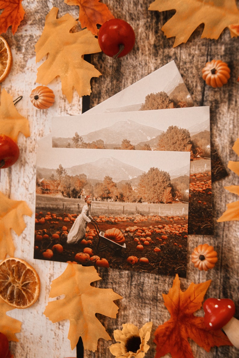 Autumn Halloween Fall autumn magic faerie fairy tale pumpkin patch Postcard art photography Preparing autumn Olga Valeska