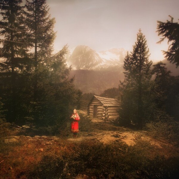 Carte postale photographie d'art "Dans les forêts de Sibérie"