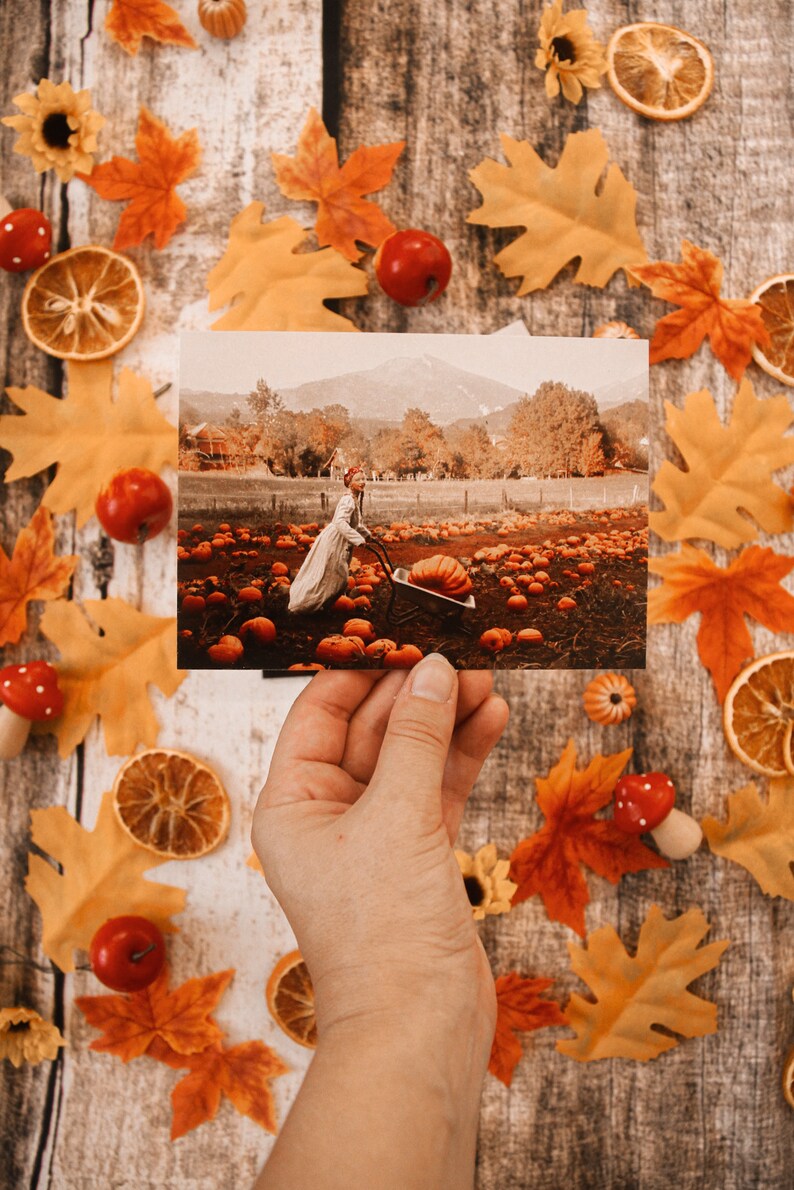 Autumn Halloween Fall autumn magic faerie fairy tale pumpkin patch Postcard art photography Preparing autumn Olga Valeska