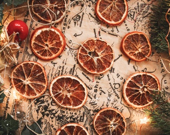 Lot de 5 ornements oranges séchées Noël traditionnel fait maison winter hiver forêt féerique fairy tale folk scandinave tradition simplicité